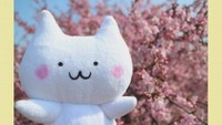 猫じゃない!? 白鳥神社の公認キャラクター「みゃ~まる」のツイートが人気 香川・東かがわ市
