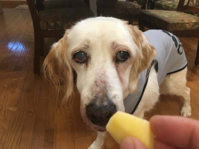 18歳7カ月「りんご大好き。お芋も好き!」(長谷川さん提供)