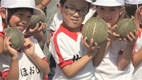 顔と同じ大きさ「おいしい、甘い」小学生がメロンを収穫 香川・小豆島