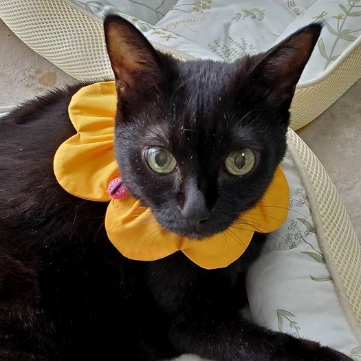 誕生記念に載せた写真「おめでとう」の言葉をいっぱいもらいました