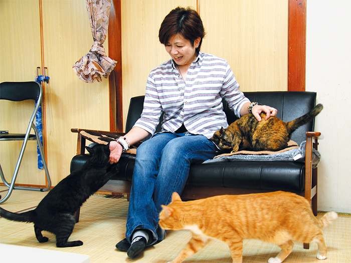 真栄城さんを取り囲む猫たち