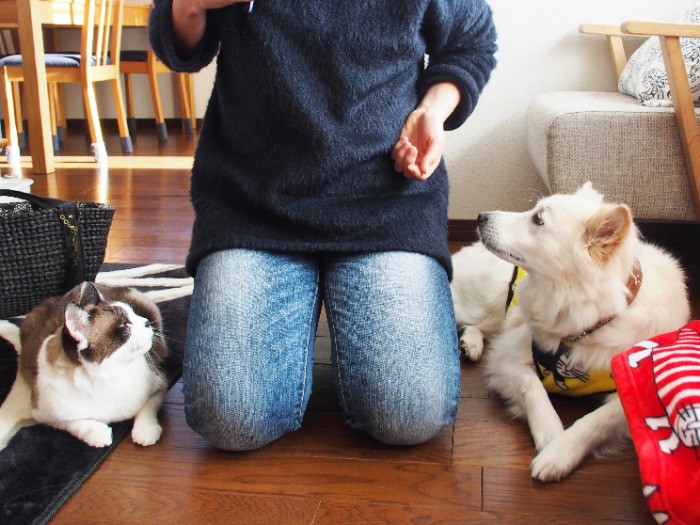 ニィナとトムはいいコンビ