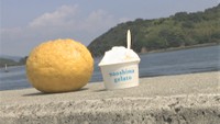 瀬戸内海の島で採れた果物が味わえる テイクアウト専門ジェラート店「naoshima gelato」 香川・直島