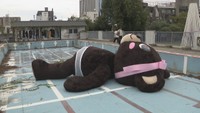 全長約7mの“巨大な熊のぬいぐるみ”など60超の作品を展示 「岡山芸術交流2022」が30日開幕!
