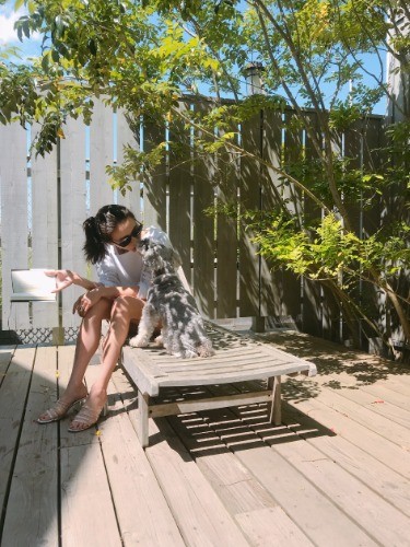 犬たちと過ごす休日はかけがえのないひととき