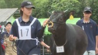千屋牛の共進会で地元高校生が育てた牛が1位に! 実習で丹精込めて育てる 岡山・新見市