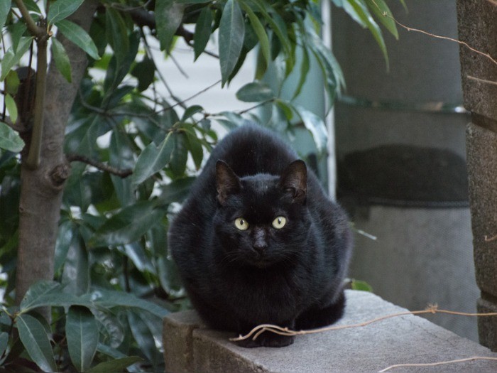 カメラ目線で、休憩中。(小林写函撮影)
