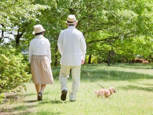 遺贈寄付の正確な情報提供を 意識調査結果を読み解く
