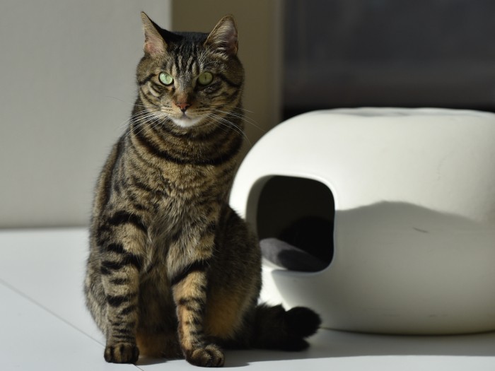 「あ、寝ていたのは僕か」(小林郁人撮影)