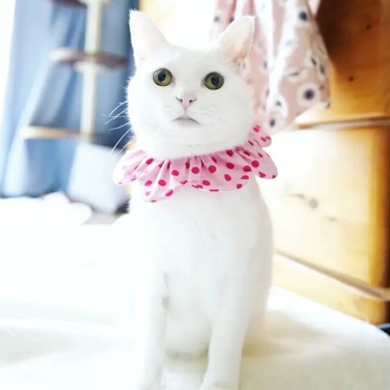 べる