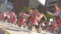 「うらじゃ」は今夏30回目の節目 8月23日(土)~24日(日)に開催決定 おかやま桃太郎まつり