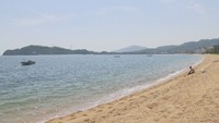 なぜ?「お盆を過ぎると海で泳いではいけない」「泳いだあと疲れる」海の疑問に専門家が回答【みんなのハテナ】