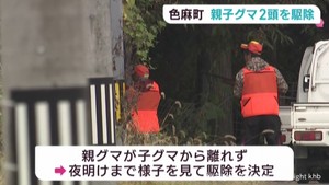 猟友会がクマ2頭を駆除 わなに掛かった子グマから親グマが離れず 宮城・色麻町