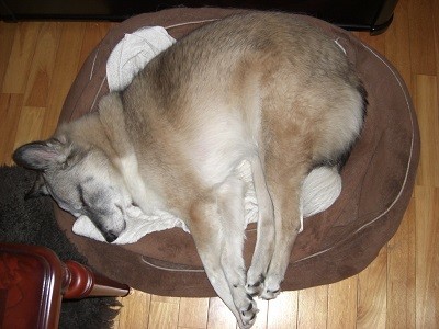 家でもまったり (郡さん提供)