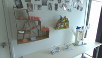 小学生が制作した「ねこのおうち」の企画展開催  岡山市・招き猫美術館