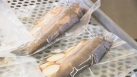 ブランド魚「オリーブサーモン」に付加価値を…高校生が加工食品作り 文化祭での販売を検討 香川