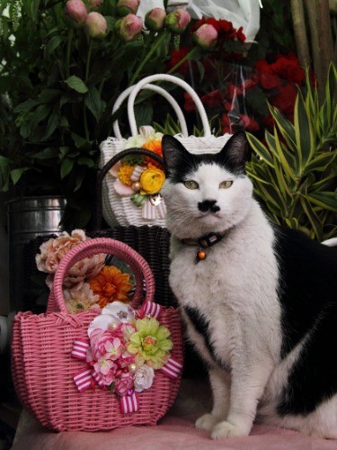 花に負けない存在感