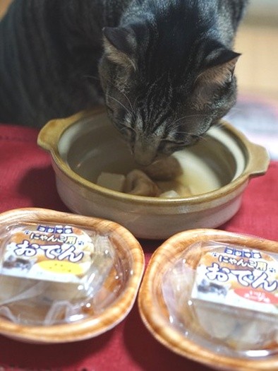 鍋から食べたらお行儀悪いね