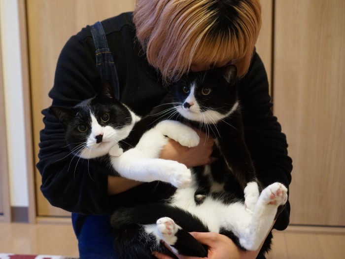 猫吸いしたくなったら、またくるね!