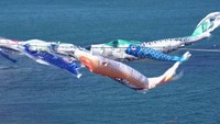 小豆島で海の上をゆらゆら♪ 端午の節句を前にこいのぼりがお目見え♪ 香川・土庄町