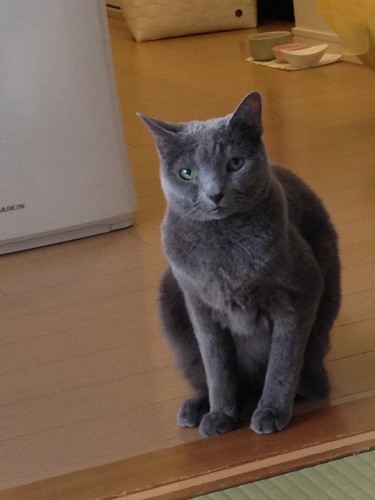 お太りさま時代(まみさん提供)