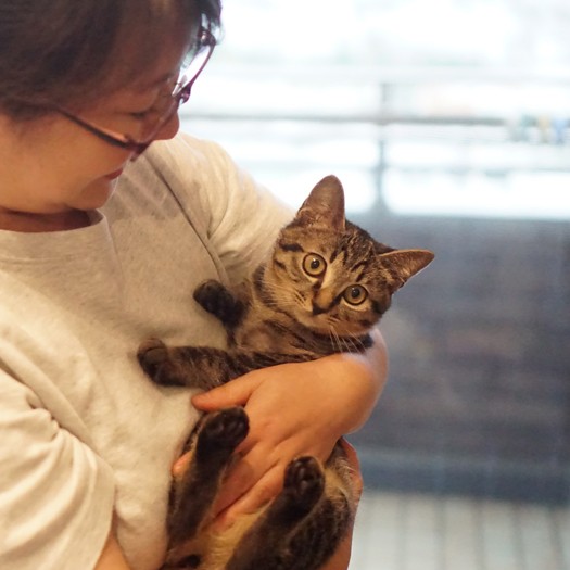 まなつを抱く和香子さん。「うちにきてもう3カ月経つのね…」