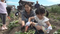 親子でサツマイモの苗植える 11月収穫見込み 香川・土庄町