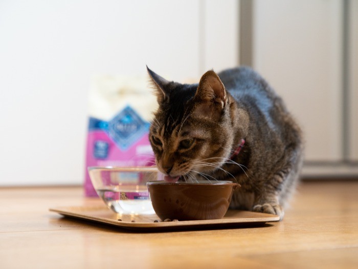 一粒もこぼすまいと思っている(はず)なのに、ああぁこぼれちゃう。で、この表情