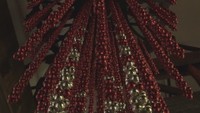 GWは瀬戸芸へ!現代アートの聖地・直島の新作2点を紹介 香川