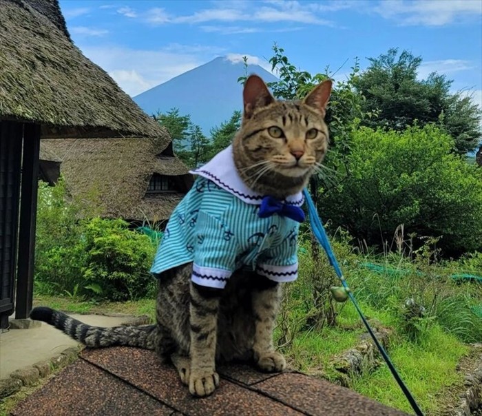まろん