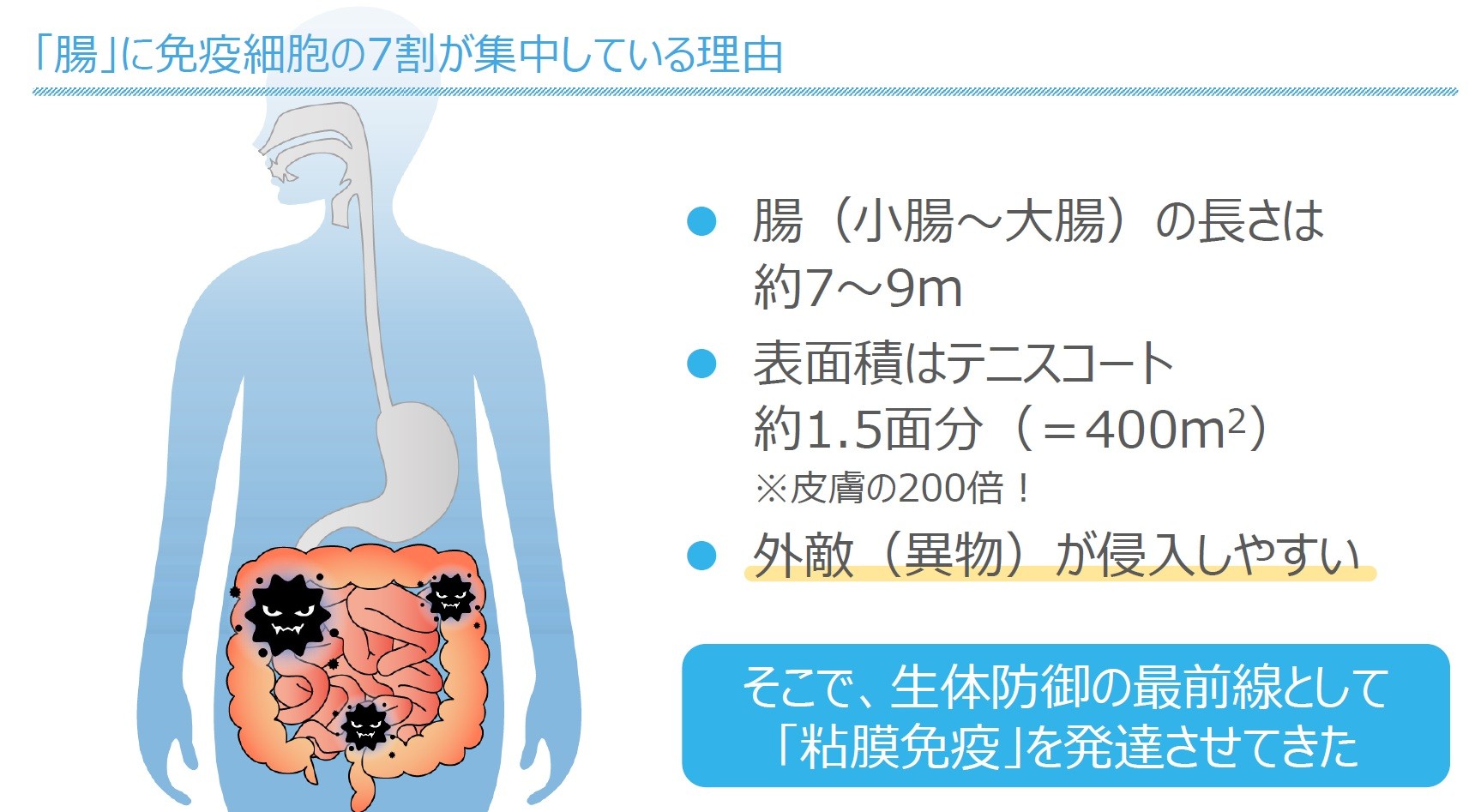 腸と粘膜免疫