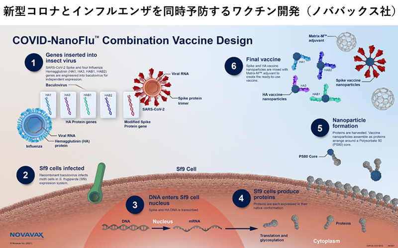 新型コロナとインフルエンザを同時予防するワクチンのイメージ