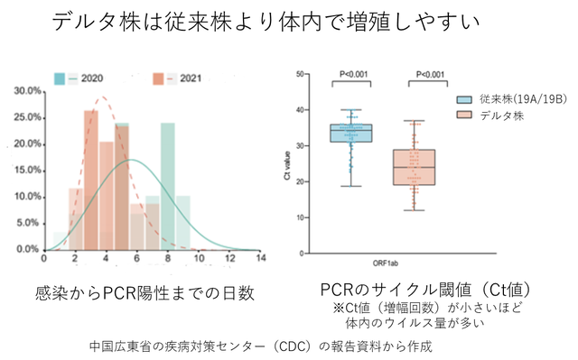 デルタ株の感染力・中国広東省