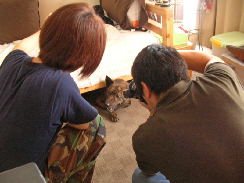 引っ越しから間もないころの部屋。インテリアもまだシンプル