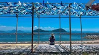本島の「海の家」を憩いの場に 東京の学生たちが再活用 香川・丸亀市