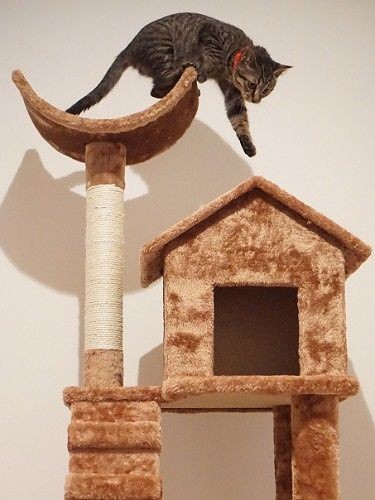 「登ったり下ったり、たのしいな」