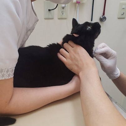 看護師さんの助けも大事「いつもありがとう」