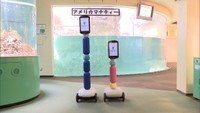 マナティーの姿もオンラインで!遠隔操作ロボットで自宅から水族館を楽しもう 高松市・新屋島水族館