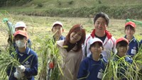 歌手・相川七瀬さんと小学生が古代米「赤米」の稲刈り 岡山・総社市