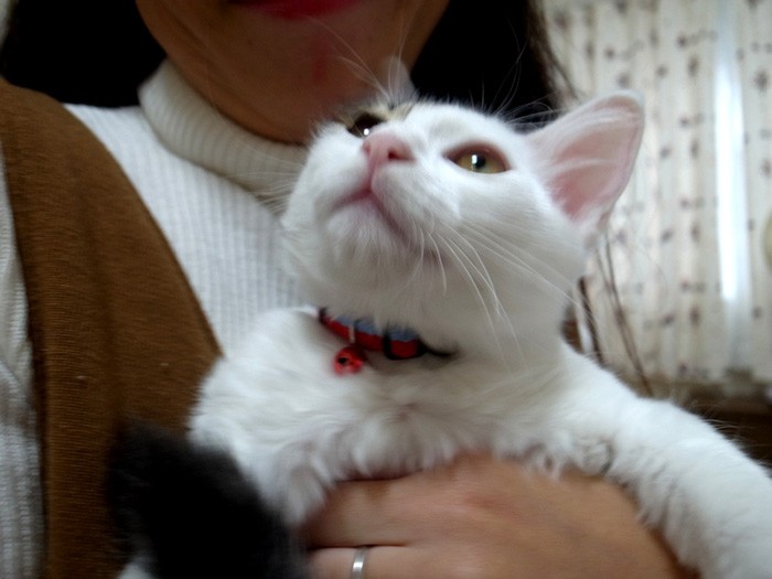 ピンクのお鼻がキュートなレオくん