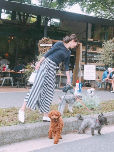 3匹いっしょにゆっくりお散歩