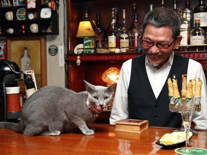 ダンディーなマスターと美しい猫と過ごす至高の時間