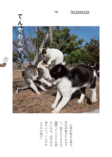 「ぎおんご ぎたいご にゃんこ」より(沖昌之撮影、青春出版社提供)