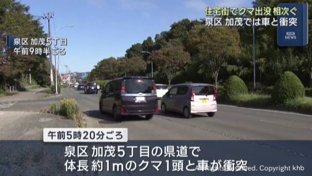 仙台市でクマの目撃が相次ぐ 泉区加茂では自動車と衝突
