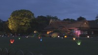 岡山城と後楽園でライトアップイベント 「春の烏城灯源郷」「春の幻想庭園」 25日から開催