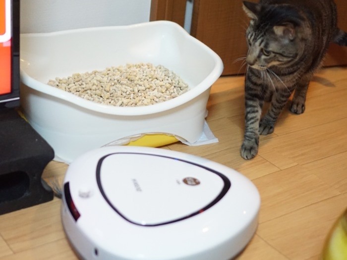 床はお掃除ロボに任せてみた