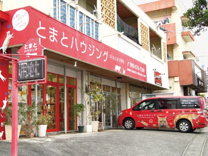 車も外観も猫だらけ!