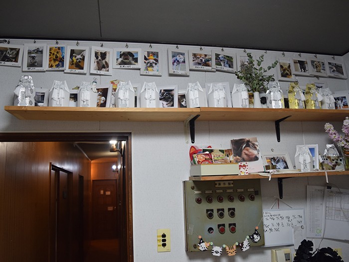 ファミーユのシェルターの一角には、最期を看取った犬や猫たちのお骨と写真が