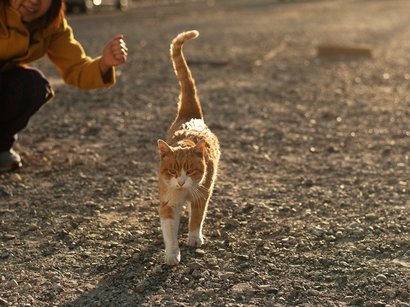 「おばちゃんがグーしてる。僕を応援かな」(小林写函撮影)