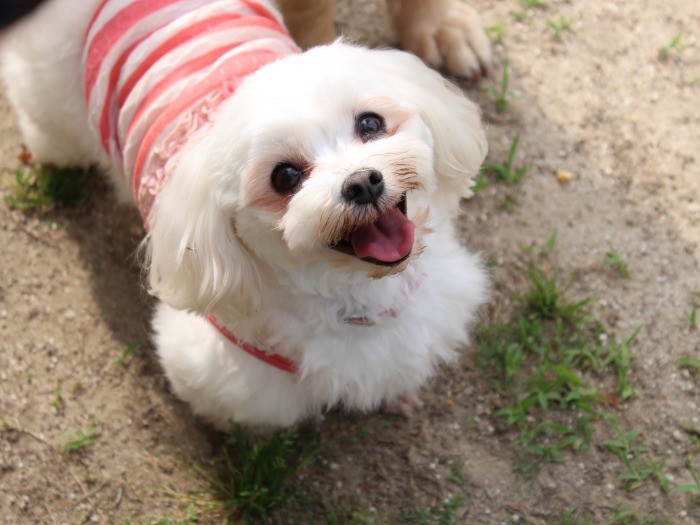 辛い過去を感じさせない笑顔のナツちゃん